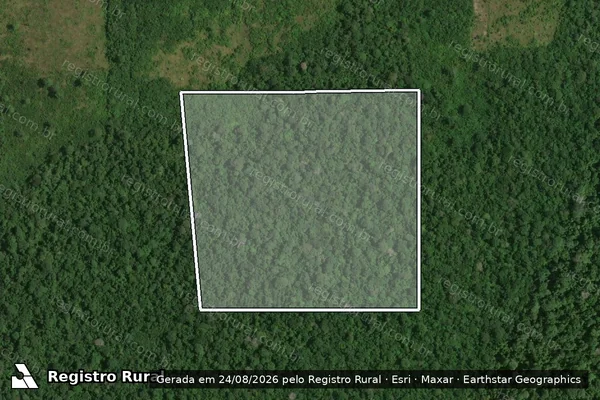 Imagem de satélite de Infração Ambiental em Rorainópolis - RR