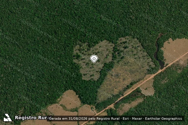 Imagem de satélite de Infração Ambiental em Apuí - AM (marcador da localização)