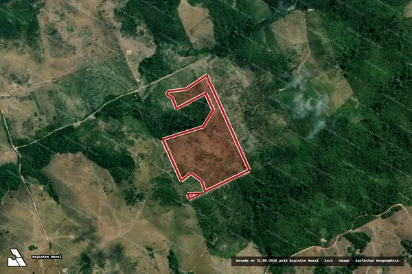 Imagem de satélite de Infração da Flora em Bom Jesus do Tocantins - PA