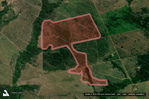 Imagem de satélite de Infração da Flora em Novo Progresso - PA (marcador da localização)