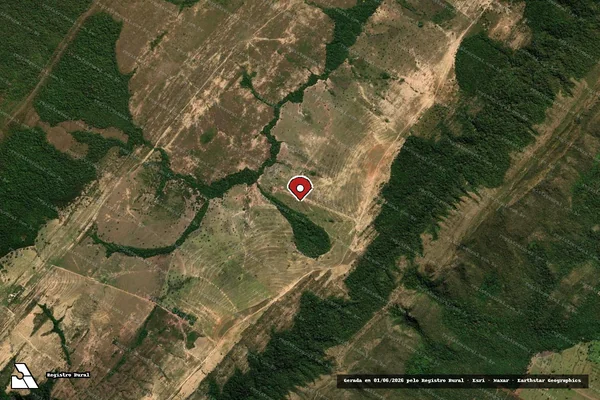 Imagem de satélite de Infração Ambiental em Nossa Senhora do Livramento - MT (marcador da localização)