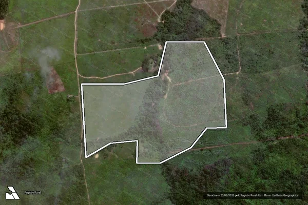 Imagem de satélite de Infração Ambiental em Ulianópolis - PA