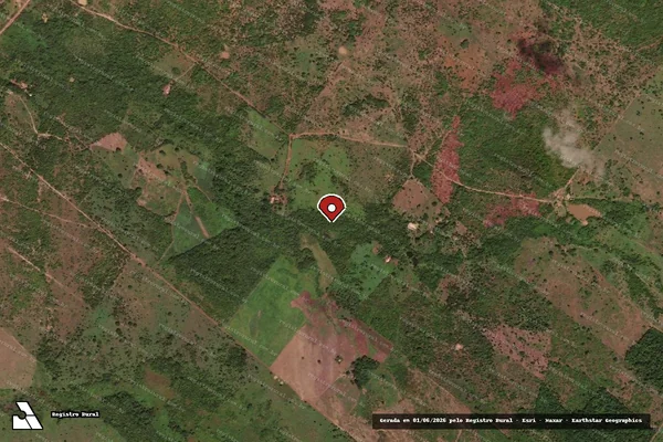 Imagem de satélite de Infração Ambiental em Conceição do Araguaia - PA (marcador da localização)