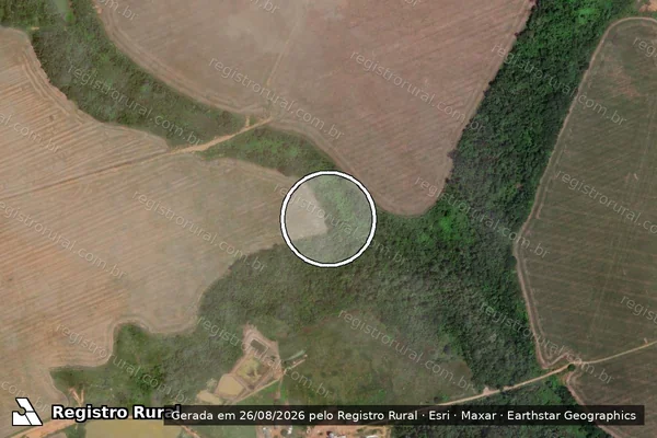 Imagem de satélite de Infração Ambiental em Novo Progresso - PA