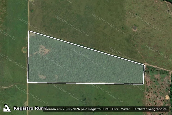 Imagem de satélite de Infração Ambiental em Senador José Porfírio - PA