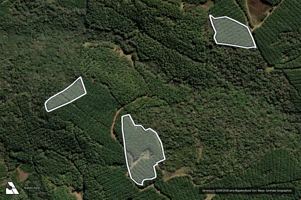 Imagem de satélite de Infração Ambiental em Curitibanos - SC