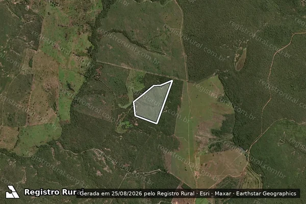 Imagem de satélite de Infração da Flora em Paranã - TO