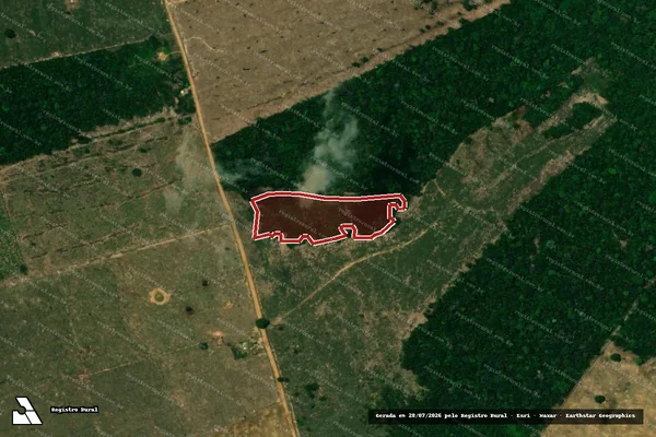 Imagem de satélite — Embargo IBAMA — Infração da Flora — Cujubim/RO