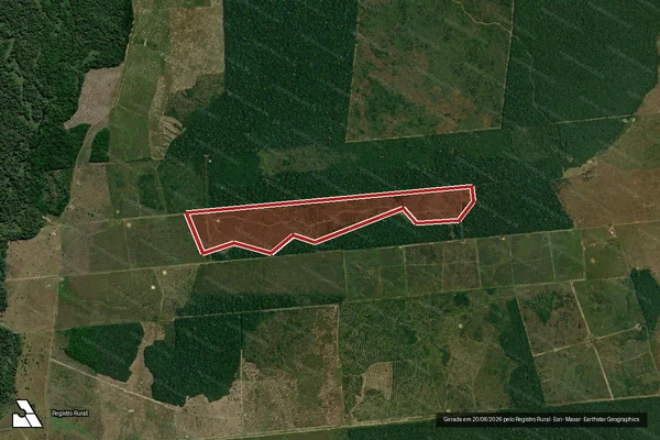Imagem de satélite — Embargo IBAMA — Infração da Flora - Seringueiras/RO