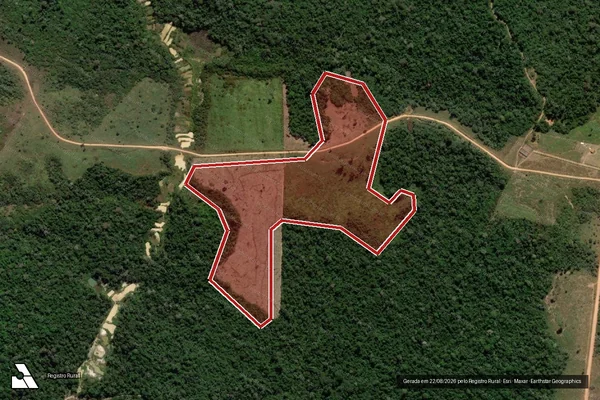 Imagem de satélite de Infração da Flora em Itaituba - PA