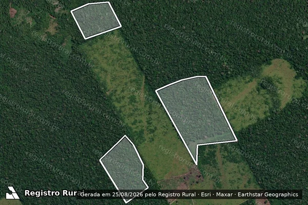 Imagem de satélite de Infração da Flora em Lábrea - AM