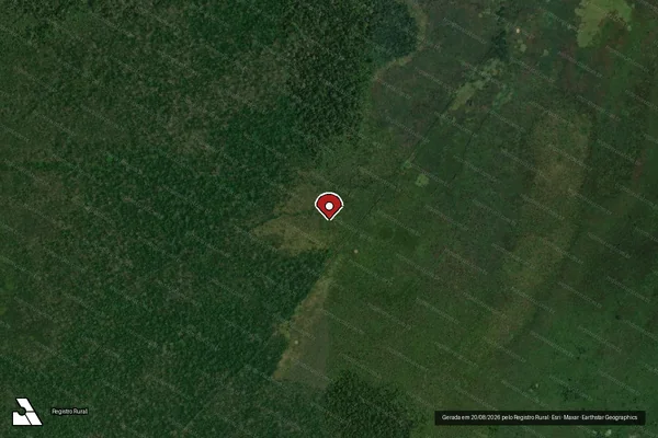 Imagem de satélite de Infração Ambiental em Porto Velho - RO (marcador da localização)