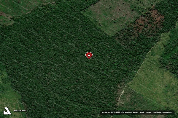Imagem de satélite — Embargo Ambiental — Apuí/AM
