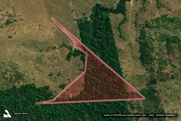 Imagem de satélite de Infração da Flora em Buritis - RO