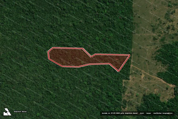 Imagem de satélite de Infração da Flora em Iracema - RR