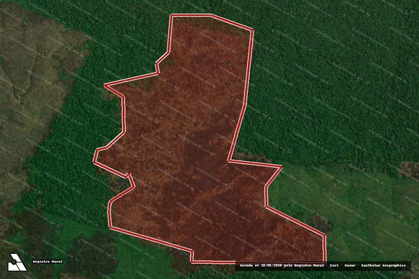 Imagem de satélite de Infração Ambiental em Apuí - AM