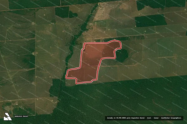 Imagem de satélite — Embargo IBAMA — Infração Ambiental - Alta Floresta D'Oeste/RO
