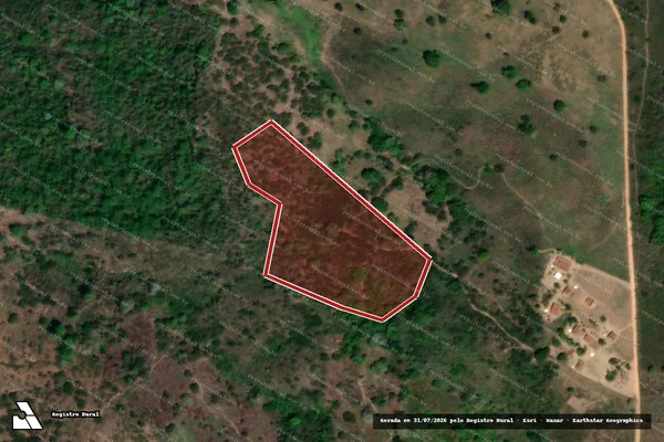Imagem de satélite de Infração da Flora em Palmeira dos Índios - AL