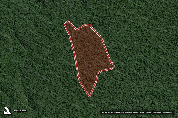 Imagem de satélite de Infração Ambiental em Medicilândia - PA