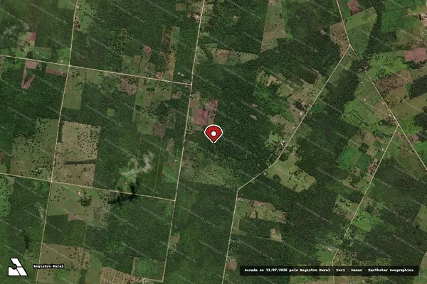 Imagem de satélite de Infração da Flora em Corumbá - MS (marcador da localização)