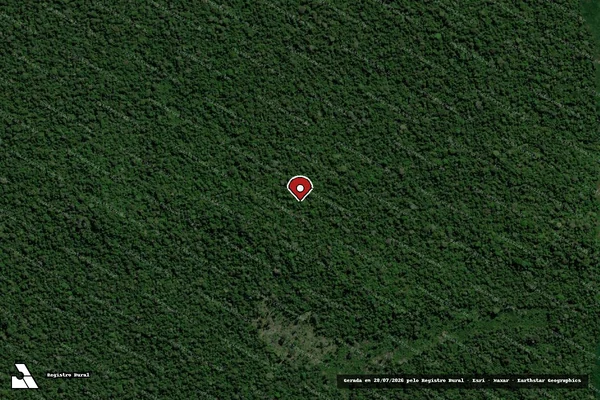Imagem de satélite de Infração Ambiental em Porto Velho - RO (marcador da localização)