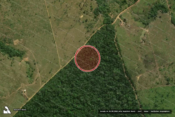 Imagem de satélite de Infração Ambiental em Porto Velho - RO