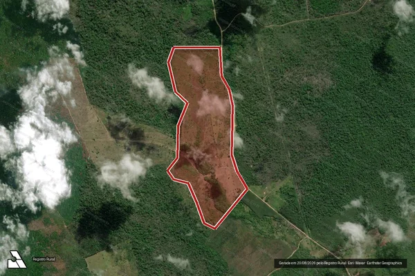Imagem de satélite de Infração Ambiental em Almeirim - PA
