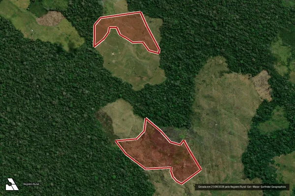 Imagem de satélite de Infração da Flora em Feijó - AC