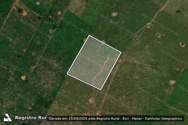 Imagem de satélite — Embargo IBAMA — Infração Ambiental - Porto Velho/RO