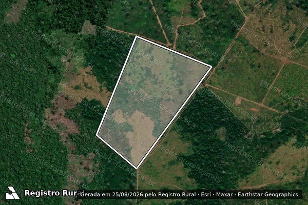 Imagem de satélite de Infração da Flora em Boca do Acre - AM