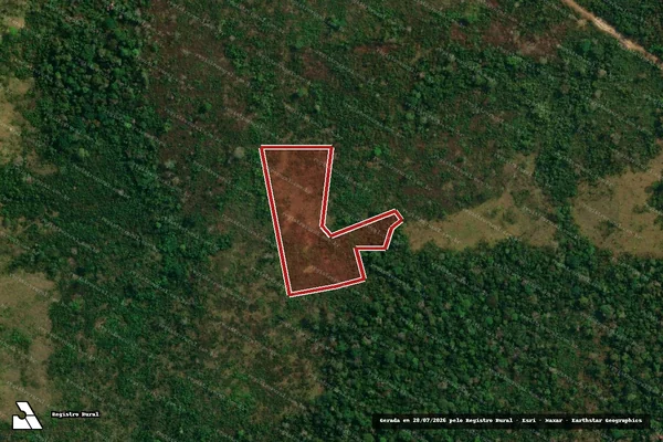 Imagem de satélite de Infração da Flora em Cotriguaçu - MT