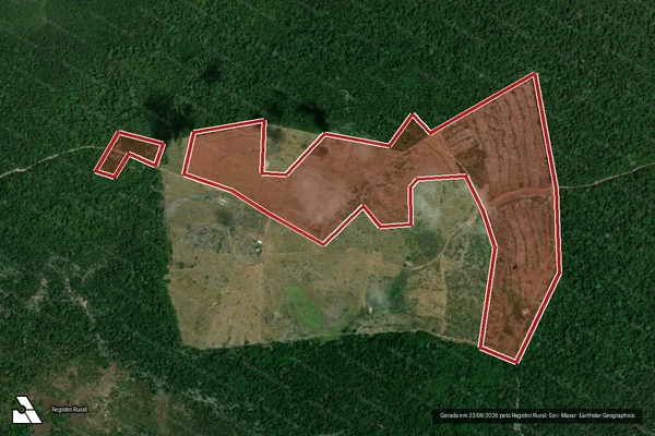 Imagem de satélite de Infração da Flora em Caracaraí - RR