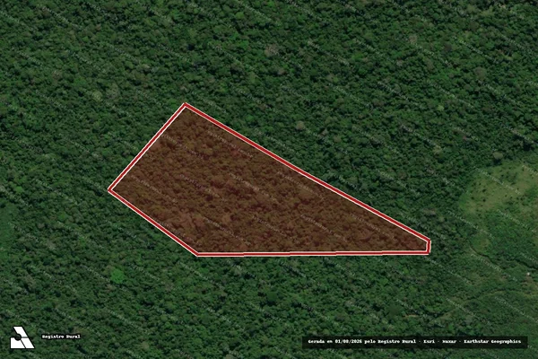 Imagem de satélite de Infração da Flora em Pacajá - PA