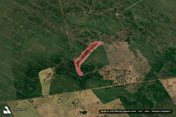 Imagem de satélite de Infração da Flora em Corumbá - MS