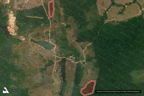 Imagem de satélite de Infração da Flora em Novo Progresso - PA