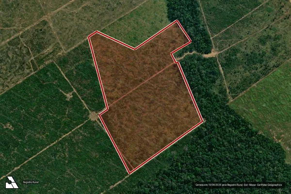 Imagem de satélite de Infração da Flora em Manicoré - AM