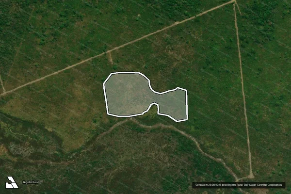 Imagem de satélite de Infração Ambiental em Vila Rica - MT