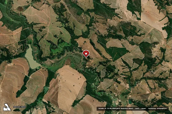 Imagem de satélite de Infração Ambiental em Silvânia - GO (marcador da localização)