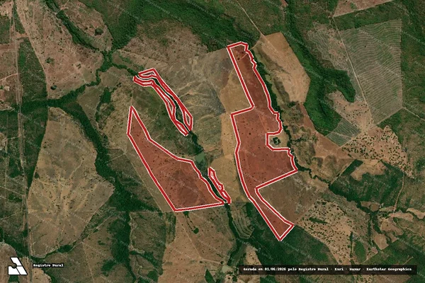 Imagem de satélite — Embargo IBAMA — Infração da Flora — Pium/TO