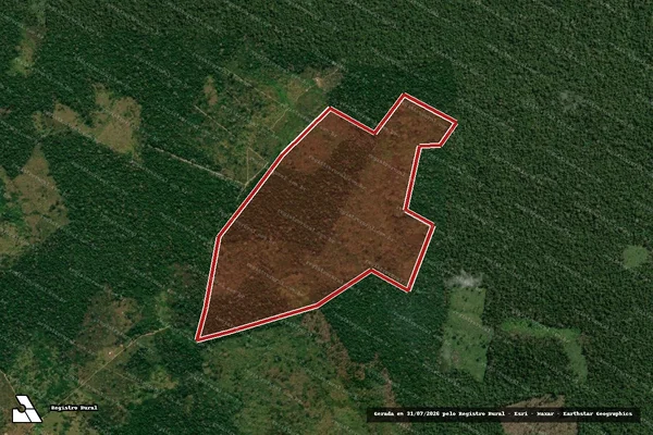 Imagem de satélite de Infração Ambiental em Boca do Acre - AM