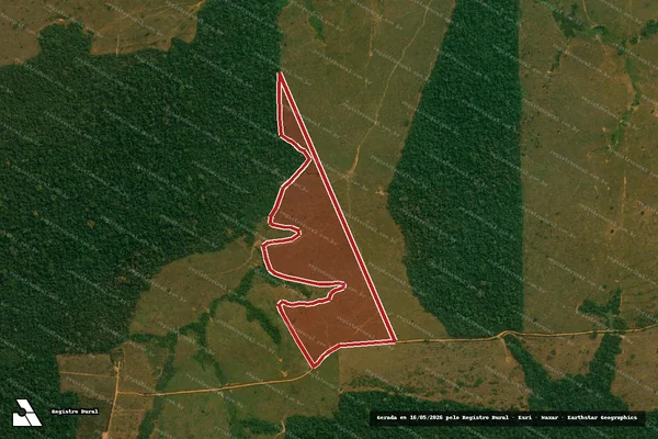 Imagem de satélite de Infração da Flora em Alvorada D'Oeste - RO