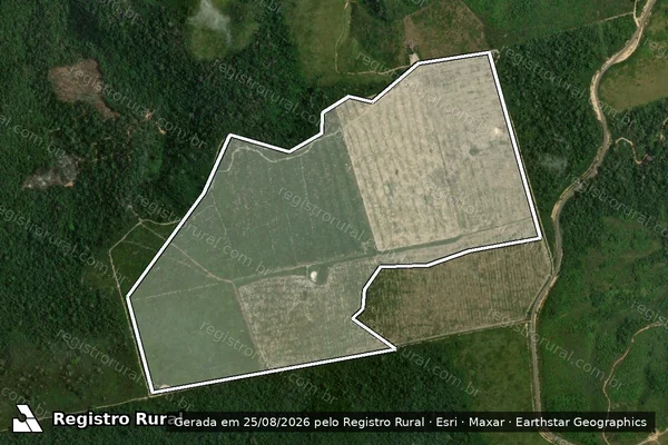 Imagem de satélite de Infração da Flora em Uruará - PA
