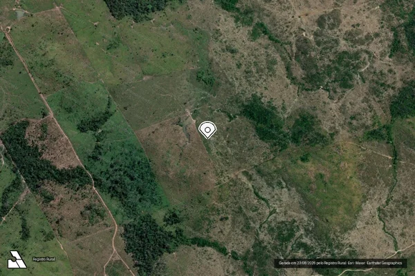 Imagem de satélite de Infração da Flora em Novo Progresso - PA (marcador da localização)