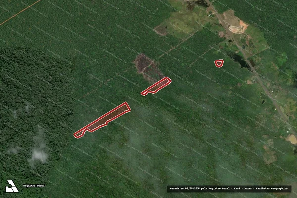 Imagem de satélite de Infração da Flora em Careiro - AM