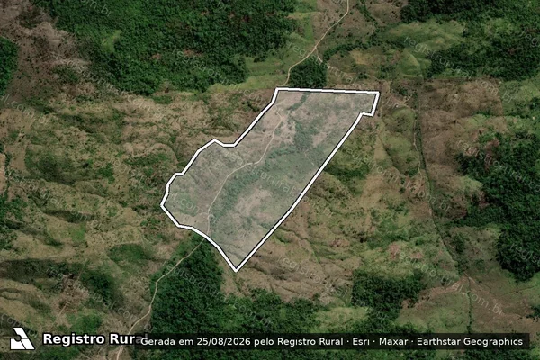 Imagem de satélite de Infração Ambiental em São Félix do Xingu - PA