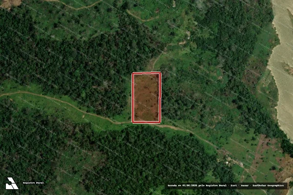 Imagem de satélite de Infração da Flora em Porto Velho - RO