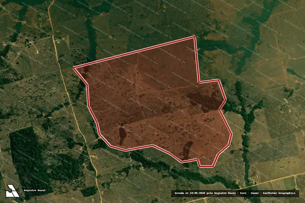 Imagem de satélite — Embargo IBAMA — Infração da Flora - Buritis/RO