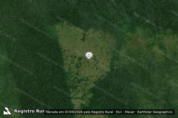 Imagem de satélite de Infração Ambiental em Apuí - AM (marcador da localização)