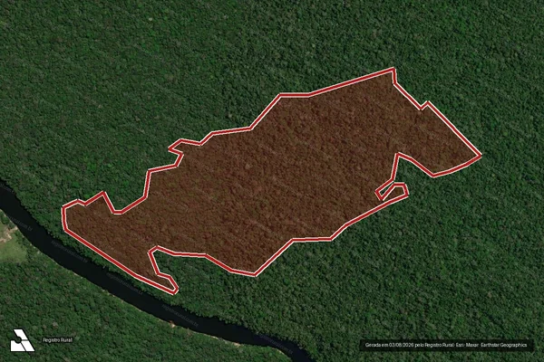 Imagem de satélite — Embargo IBAMA — Infração da Flora - Apuí/AM