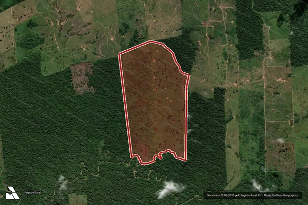 Imagem de satélite de Infração Ambiental em Porto Velho - RO